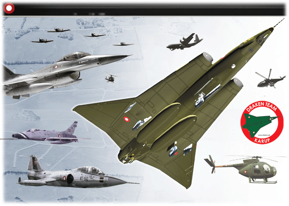 Forsvarets fly image